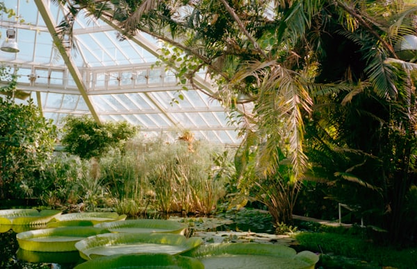 Historical garden